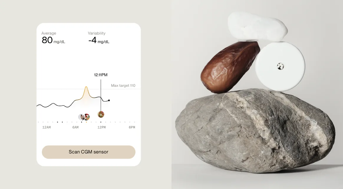 Kahla AI: patterns and correlations across all your data